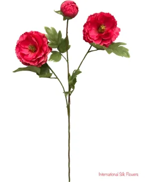 28'' Single Stem Peony ( 31580-Red Beauty )