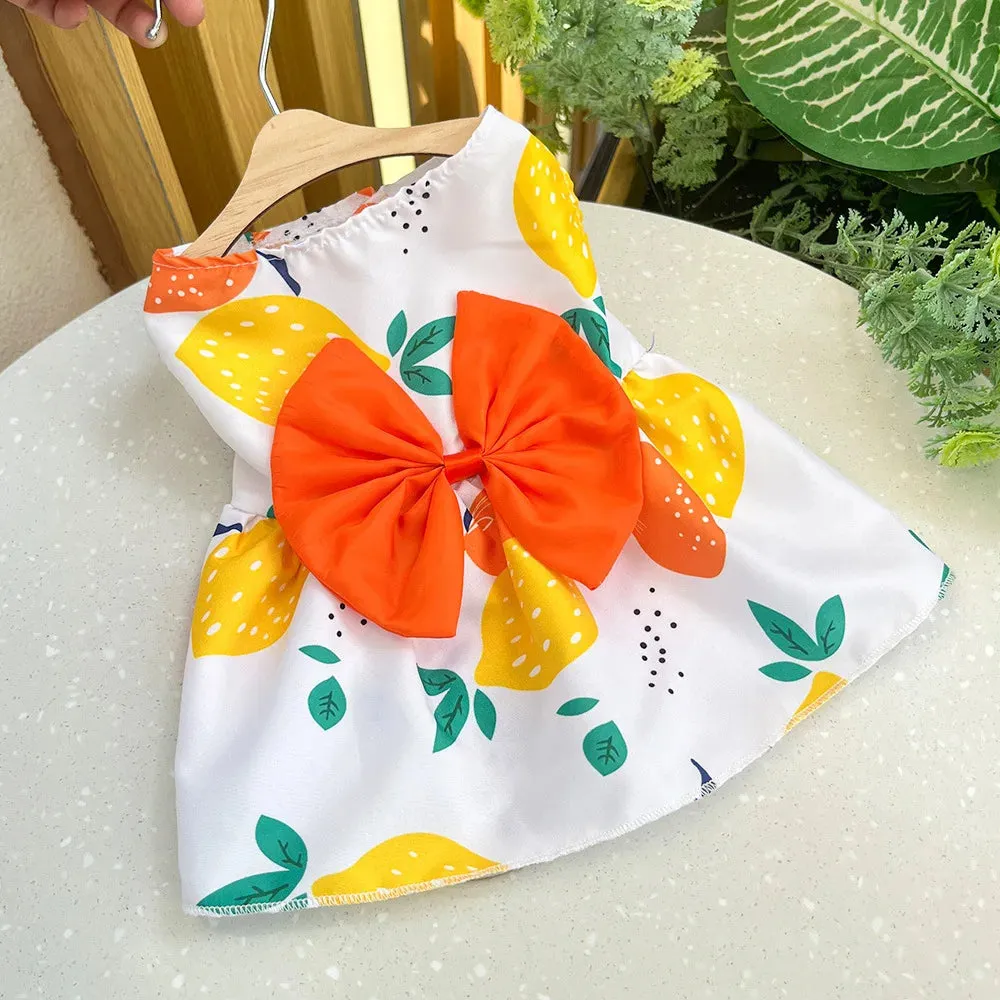 Spring Summer Dog Princess Dress Kitten Pet Skirt Cute Dog Dress Bow Lace for Small Medium Puppy Poodle Chihuahua